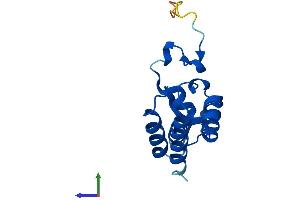 Protein Structure (PS) image for Polymerase (RNA) II (DNA Directed) Polypeptide D (POLR2D) (AA 1-142) protein (His tag) (ABIN7561090)