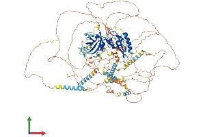 Protein Structure (PS) image for Period Homolog 3 (PER3) (AA 1-1113) protein (His tag) (ABIN7562542)