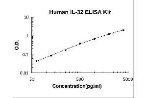 Interleukin 32 (IL32) ELISA Kit