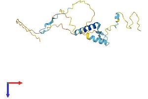 AlphaFold protein structure predicition of Human Recombinant FAM219B Protein, UniprotID Q5XKK7