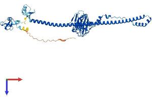 TRIM69 Protein (AA 1-500) (His tag)
