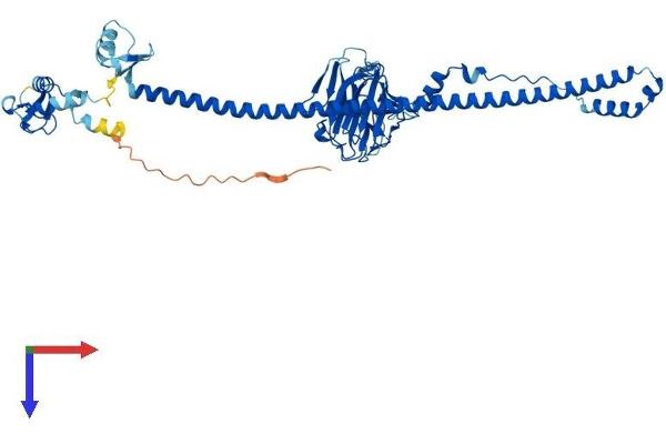 TRIM69 Protein (AA 1-500) (His tag)