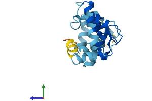 AlphaFold protein structure predicition of Mouse Recombinant Cib3 Protein, UniprotID Q0P523