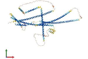 Protein Structure (PS) image for Mutated in Colorectal Cancers (MCC) (AA 1-829) protein (His tag) (ABIN7553570)