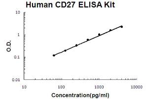 Human TNFRSF7/CD27 Accusignal ELISA Kit Human TNFRSF7/CD27 AccuSignal ELISA Kit standard curve. (CD27 ELISA 试剂盒)