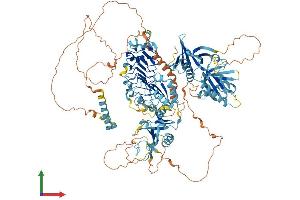 Protein Structure (PS) image for serine/threonine Kinase 11 Interacting Protein (STK11IP) (AA 1-1072) protein (His tag) (ABIN7563659)