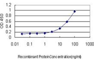 Detection limit for recombinant GST tagged RGL2 is approximately 1ng/ml as a capture antibody. (RGL2 抗体  (AA 644-743))