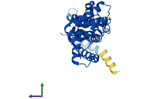 AlphaFold protein structure predicition of Mouse Recombinant Elmod2 Protein, UniprotID Q8BGF6