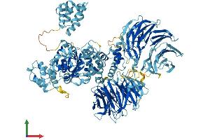Protein Structure (PS) image for Apoptotic Peptidase Activating Factor 1 (APAF1) (AA 1-1248) protein (His tag) (ABIN7552258)