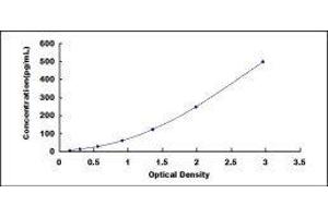 ELISA image for Glial Fibrillary Acidic Protein (GFAP) ELISA Kit (ABIN6574131)
