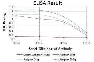 Red: Control Antigen (100 ng), Purple: Antigen (10 ng), Green: Antigen (50 ng), Blue: Antigen (100 ng), (CST3 抗体)