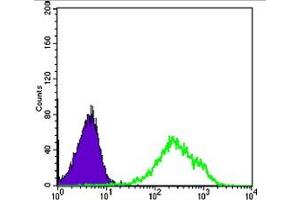 Flow Cytometry (FACS) image for anti-Death-Domain Associated Protein (DAXX) antibody (ABIN1106953)