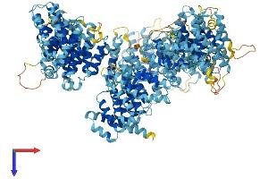 AlphaFold protein structure predicition of Human Recombinant URB2 Protein, UniprotID Q14146