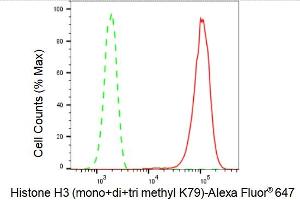 Flow cytometric analysis of Histone H3 (mono+di+tri methyl K79) expression in HepG2 cells using Histone H3 (mono+di+tri methyl K79) antibody (ABIN7798965), 1:2,000). (Recombinant Histone 3 抗体  (H3K79me))