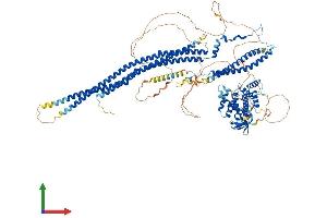 Protein Structure (PS) image for SLIT-ROBO rho GTPase Activating Protein 1 (SRGAP1) (AA 1-1062) protein (His tag) (ABIN7564828)