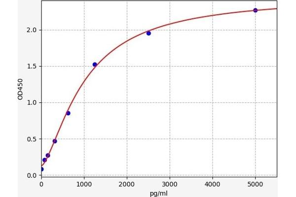 CNDP1 ELISA 试剂盒