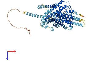 SOAT2 Protein (AA 1-525) (His tag)