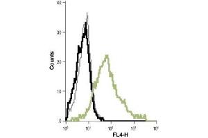 Flow Cytometry (FACS) image for anti-Potassium Intermediate/small Conductance Calcium-Activated Channel, Subfamily N, Member 4 (KCNN4) (Extracellular) antibody (ABIN7044556)