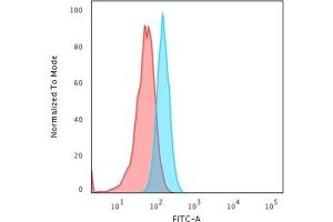 Flow Cytometric Analysis of PFA-fixed HeLa cells using Cytokeratin 15 Mouse MAb (KRT15/2957) followed by Goat anti-Mouse IgG-CF488 (Blue); Isotype Control (Red). (KRT15 抗体)