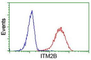 Flow Cytometry (FACS) image for anti-Integral Membrane Protein 2B (ITM2B) antibody (ABIN1496395) (ITM2B 抗体)