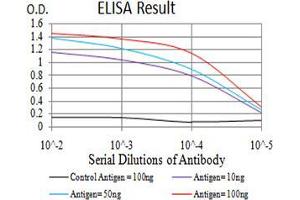 ELISA image for anti-V-Ral Simian Leukemia Viral Oncogene Homolog B (Ras Related, GTP Binding Protein) (Ralb) (AA 89-206) antibody (ABIN5542684)