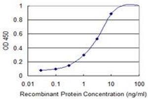 Detection limit for recombinant GST tagged CGB is 0. (CGB 抗体  (AA 70-165))