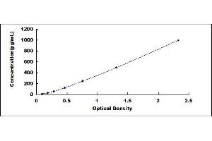 Typical standard curve (OLIG2 ELISA 试剂盒)