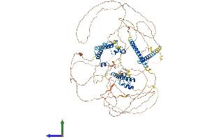 AlphaFold protein structure predicition of Mouse Recombinant Myocd Protein, UniprotID Q8VIM5