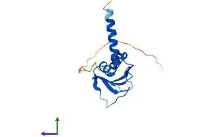 AlphaFold protein structure predicition of Mouse Recombinant Gskip Protein, UniprotID Q8BGR8