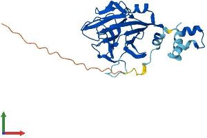Protein Structure (PS) image for SplA/ryanodine Receptor Domain and SOCS Box Containing 4 (SPSB4) (AA 1-273) protein (His tag) (ABIN7546309)