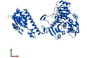 Protein Structure (PS) image for 5-Aminoimidazole-4-Carboxamide Ribonucleotide Formyltransferase/IMP Cyclohydrolase (ATIC) (AA 1-592) protein (His tag) (ABIN7551119)