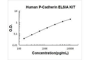 P-Cadherin (CDH3) ELISA Kit