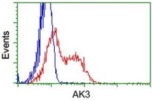 Flow Cytometry (FACS) image for anti-Adenylate Kinase 3 (AK3) antibody (ABIN1496521) (Adenylate Kinase 3 抗体)