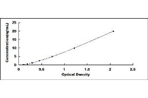 Typical standard curve (Histone H2A ELISA 试剂盒)