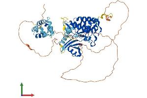 AlphaFold protein structure predicition of Human Recombinant IRAK3 Protein, UniprotID Q9Y616