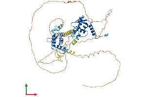 Protein Structure (PS) image for Nucleus Accumbens Associated 1, BEN and BTB (POZ) Domain Containing (NACC1) (AA 1-527) protein (His tag) (ABIN7549642)