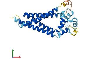 Protein Structure (PS) image for CD81 (CD81) (AA 1-236) protein (His tag) (ABIN7563187)