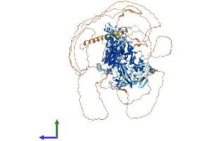 Protein Structure (PS) image for Ankyrin Repeat-Containing Protein (EHMT2) (AA 1-1263) protein (His tag) (ABIN7565268)