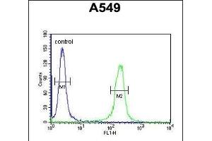 C14orf179 Antibody (Center) (ABIN651563 and ABIN2840304) flow cytometric analysis of A549 cells (right histogram) compared to a negative control cell (left histogram). (IFT43 抗体  (AA 145-171))