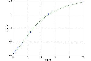 A typical standard curve