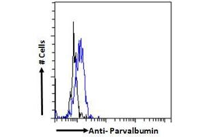 Flow Cytometry (FACS) image for anti-Parvalbumin (PVALB) (C-Term) antibody (ABIN185412)
