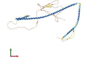 Protein Structure (PS) image for Premature Ovarian Failure, 1B (POF1B) (AA 1-589) protein (His tag) (ABIN7550907)