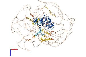 CDK12 Protein (AA 1-1490) (His tag)