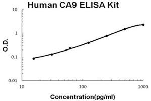 Human CA9 Accusignal ELISA Kit Human CA9 AccuSignal ELISA Kit standard curve. (CA9 ELISA 试剂盒)