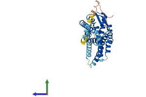 Protein Structure (PS) image for Chemokine (C-X-C Motif) Receptor 4 (CXCR4) (AA 1-352) protein (His tag) (ABIN7553587)