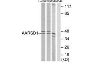 Western blot analysis of extracts from A549/293/HepG2 cells, using AARSD1 Antibody. (AARSD1 抗体  (AA 141-190))