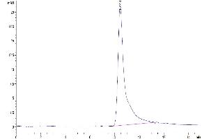 Size-exclusion chromatography-High Pressure Liquid Chromatography (SEC-HPLC) image for Oxidized Low Density Lipoprotein (Lectin-Like) Receptor 1 (OLR1) (AA 61-273) protein (His tag) (ABIN7275197)