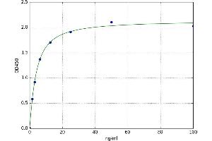Hydroxysteroid (11-Beta) Dehydrogenase 1 (HSD11B1) ELISA Kit