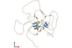 AlphaFold protein structure predicition of Human Recombinant MAPK8IP1 Protein, UniprotID Q9UQF2