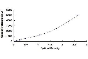 Typical standard curve (FABP2 ELISA 试剂盒)